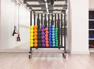 A view of a set of weights at our gym